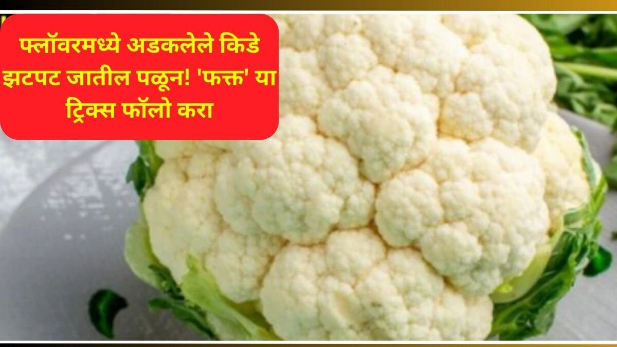 how to remove worm form cabbage