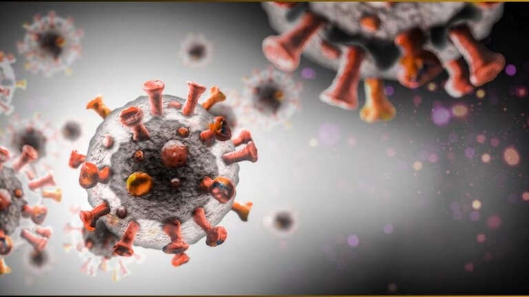 HMPV Virus: 'या' देशात 21 वर्षांपूर्वी आढळला HMPV चा पहिला रुग्ण! कोणत्या लोकांना या व्हायरसचा सर्वात जास्त धोका? HMPV Cases In India