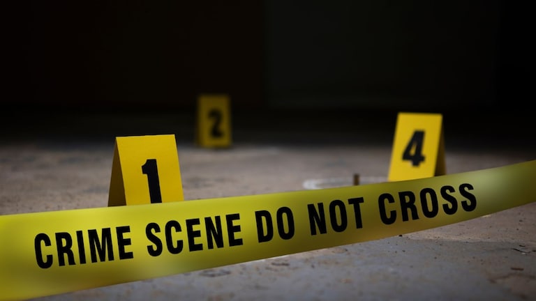 Thane Crime News : सख्खा भाऊच ठरला पक्का वैरी! खिशातून न विचारता 500 रुपये घेतले म्हणून भावानेच केली धाकट्याची हत्या Mumbai Tak