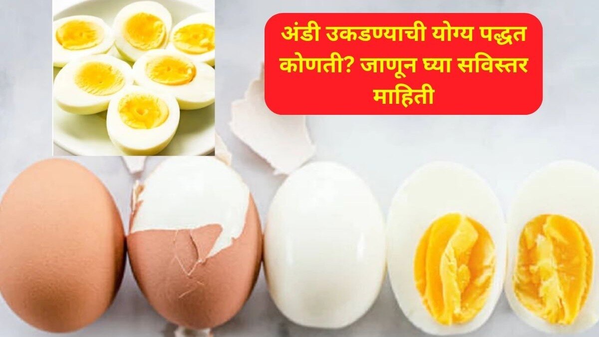 Egg Boiling Best Method 
