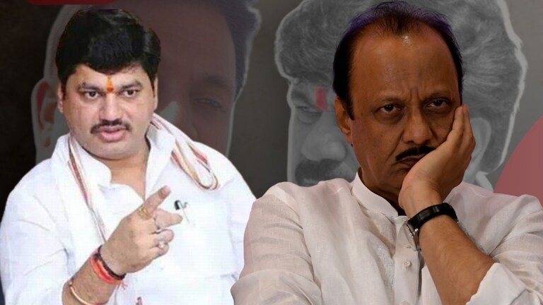 Ajit Pawar आता धनंजय मुंडेंचा राजीनामा घेणार?, अजितदादांनी केलं मोठं विधान अजितदादा धनंजय मुंडेंचा राजीनामा घेणार?