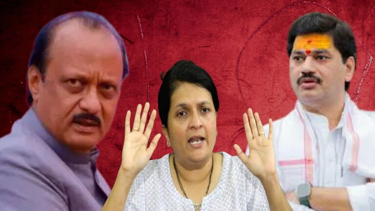 Anjali Damania : "धनंजय मुंडेंचा राजीनामा...", अजित पवार यांच्या भेटीनंतर दमानिया काय म्हणाल्या? Mumbai Tak