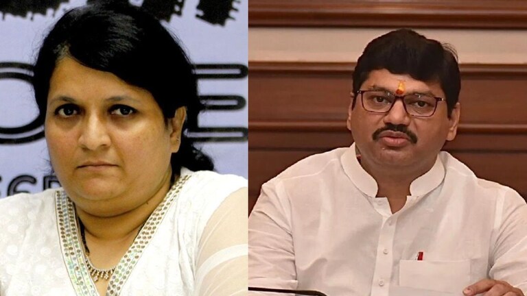 Dhananjay Munde : "देवेनभाऊ आणि अजितदादांनीच उत्तर द्यावं...", दमानियांच्या आरोपानंतर काय म्हणाले मुंडे? Mumbai Tak