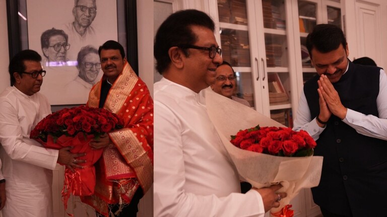 CM Devendra Fadnavis राज ठाकरे यांच्या भेटीला, राऊत म्हणाले शिवाजी पार्कवर कॅफे उघडलाय... Mumbai Tak