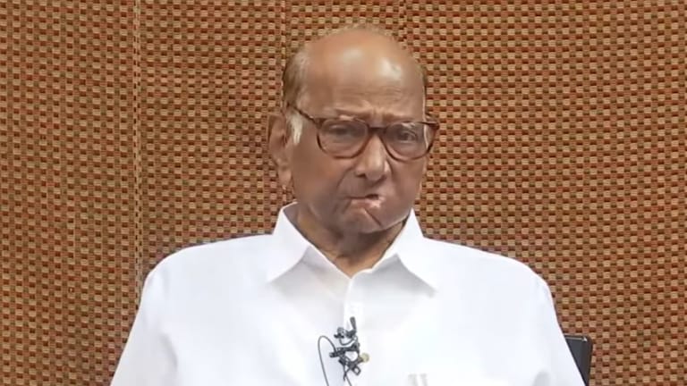 Sharad Pawar: "नीलम गोऱ्हेंचं वक्तव्य मूर्खपणाचं...", पत्रकार परिषदेत शरद पवार नेमकं काय म्हणाले? Sharad Pawar On Neelam Gorhe