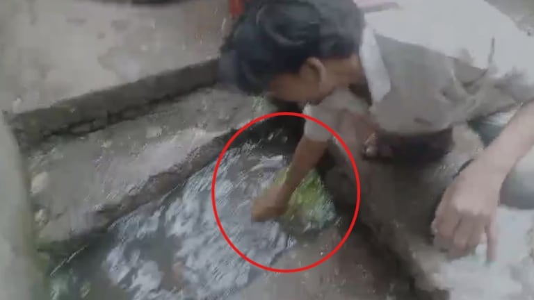 अरेरे.. गटाराच्या पाण्यात धुतली मेथी, VIDEO पाहून तुम्हालाही येईल किळस गटाराच्या पाण्यात धुतली मेथी