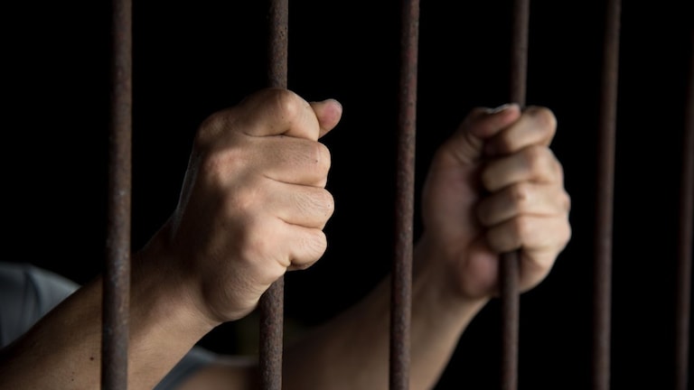 Crime News : लग्न पुढे ढकलल्यामुळे तरूणाला राग आला , तरूणीच्या ऑफिसमध्ये जाऊन केला हल्ला... Mumbai Tak