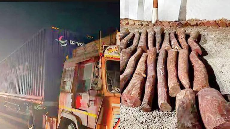 Crime : पुणे-मुंबई एक्सप्रेस वेवर पुष्पा स्टाईल कारवाई, 25 कोटी रुपयांचे चंदन जप्त; पिंपरी चिंचवड पोलिसांकडून आरोपी अटक Mumbai Tak
