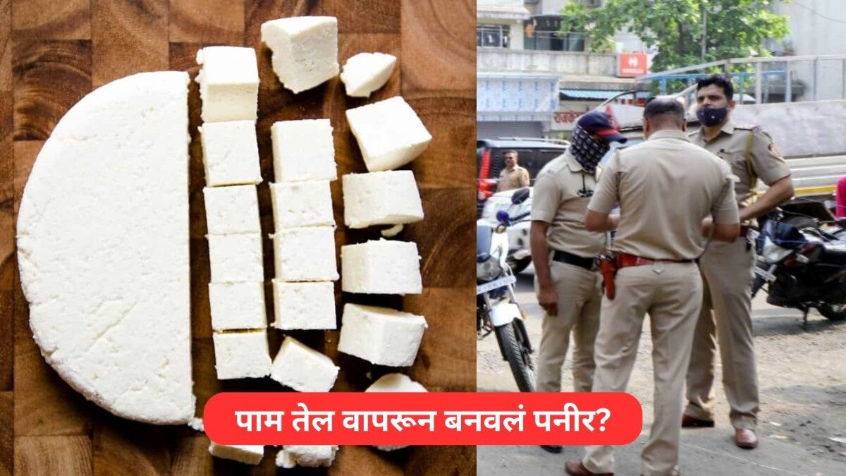 Pune : पुणेकरांनो सावधान! तुमच्या ताटातलं पनीर भेसळयुक्त? पोलिसांनी छापा टाकत पकडलं दीड हजार किलो बनावट पनीर Mumbai Tak