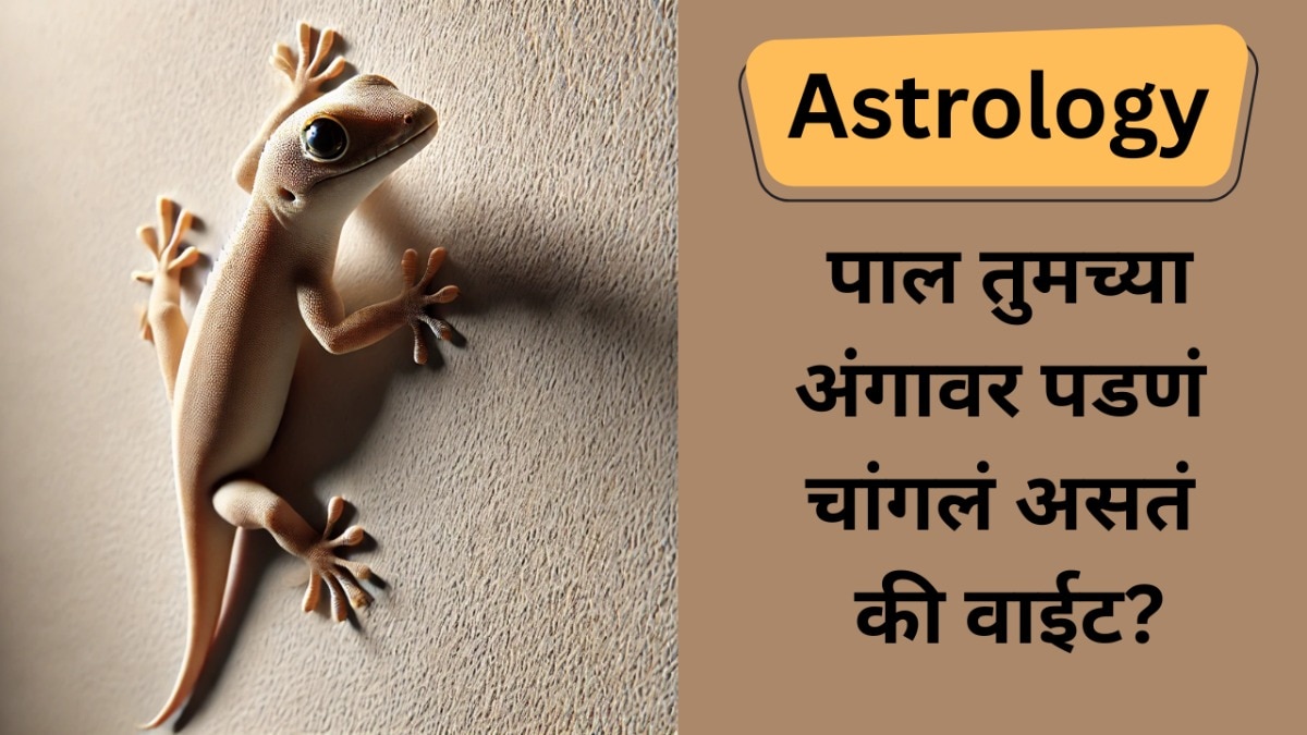 पाल अंगावर पडणं शुभ की अशुभ