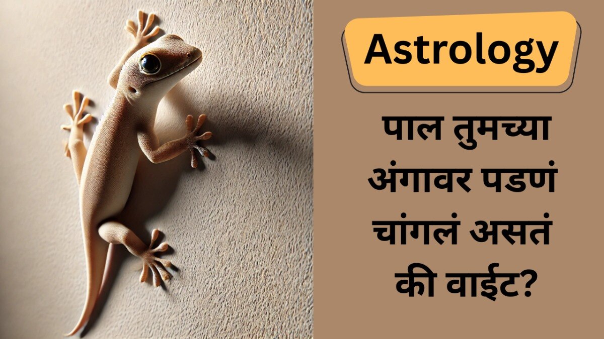पाल अंगावर पडणं शुभ की अशुभ