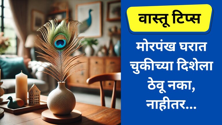 घरात 'या' ठिकाणी मोरपंख ठेवलं तर तुमचा करेक्ट कार्यक्रमच होईल, काय होईल ते तुम्हीच पाहा... घरात मोरपंख ठेवा अगदी योग्य दिशेला