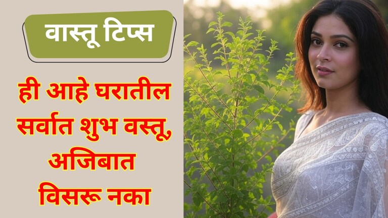 'ही' आहे घरातील सर्वात शुभ वस्तू, नाही आणली घरी तर... 'ही' आहे घरातील सर्वात शुभ वस्तू