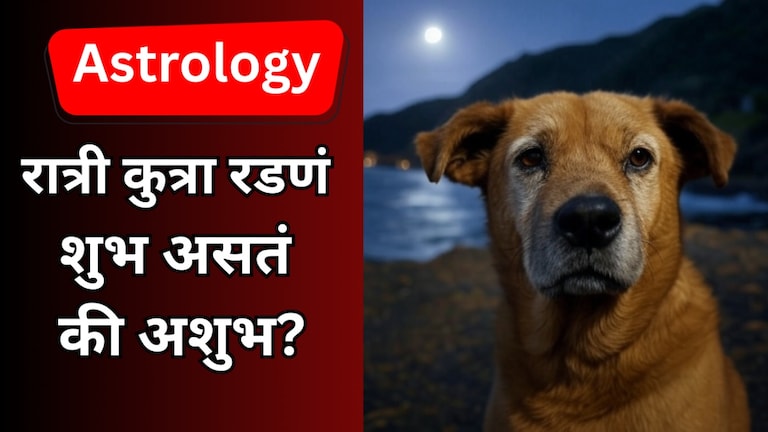 कुत्र्याचे रात्री रडणे शुभ असते की अशुभ... तुमच्या मनातही तीच भीती? कुत्र्याचे रात्री रडणे शुभ असते की अशुभ