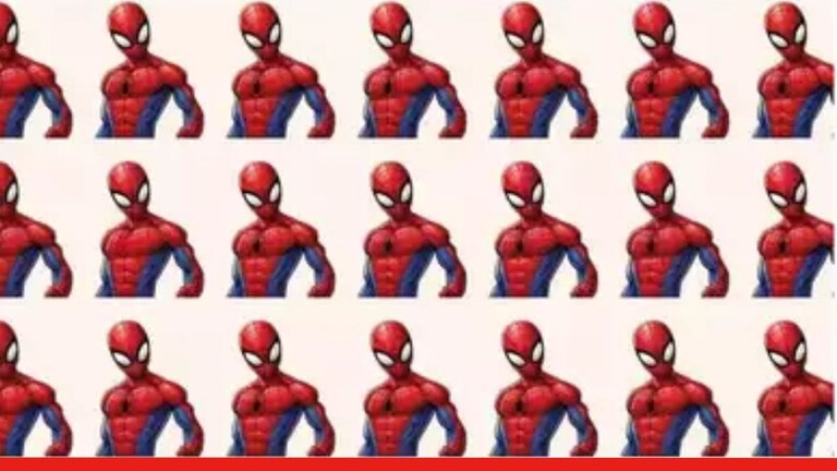 Optical illusion Test : खऱ्या स्पायडरच्या गँगमध्ये लपलाय खोटा 'स्पायडर मॅन'! दिमाग लावा अन् 7 सेकंदात शोधा Optical Illusion IQ Test