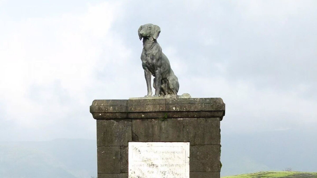 रायगडावरील वाघ्या कुत्र्याच्या समाधी (फोटो सौजन्य: Instagram)