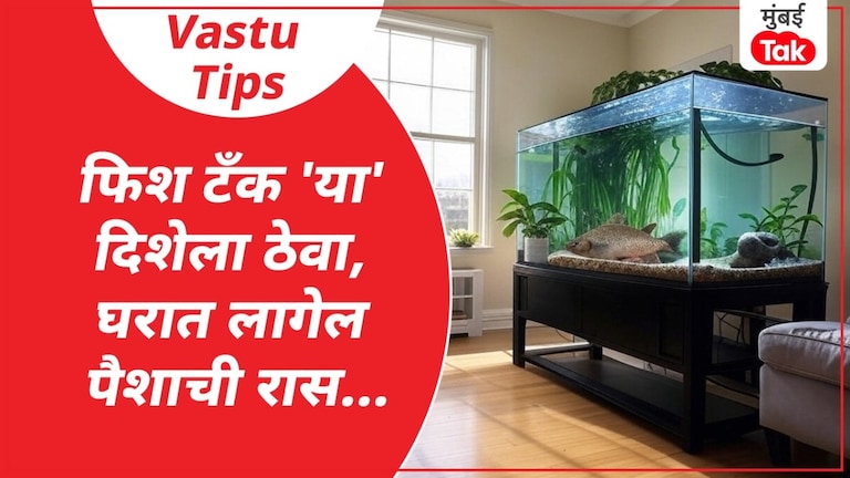 Fish Tank मुळे घरात येईल प्रचंड पैसा?, पण एक चूक पडेल महागात Fish Tank मुळे घरात येईल प्रचंड पैसा?