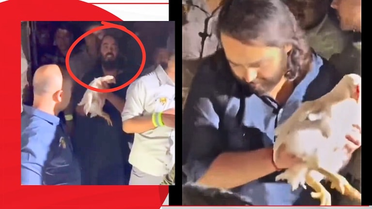 Viral Video: 'मालकाला कोंबड्याचे सगळे पैसे देऊन टाक, आणि सगळ्यांना...', रस्त्यावरून जाणारा कोंबड्यांचा अख्खा ट्रक अनंत अंबानींनी घेतला विकत! रस्त्यावरून जाणारा कोंबड्यांचा अख्खा ट्रक अनंत अंबानींनी घेतला विकत!