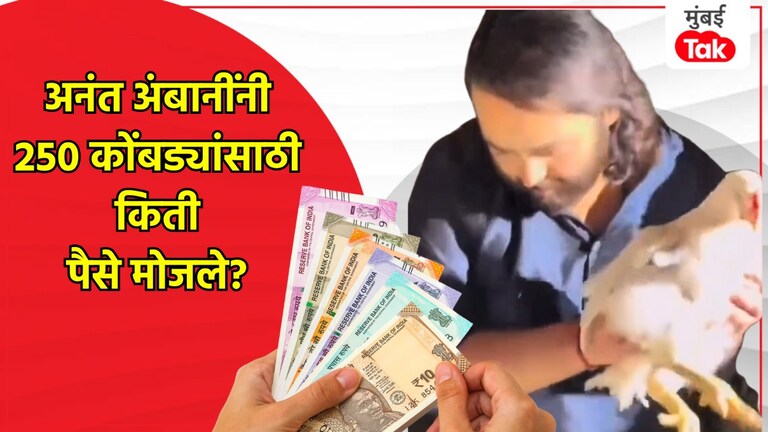 Viral Video: रस्त्यावरच कोंबड्या खरेदी केलेल्या ट्रक मालकाला अनंत अंबानींनी किती पैसे दिले? अनंत अंबानींनी कोंबड्यांसाठी किती पैसे दिले?