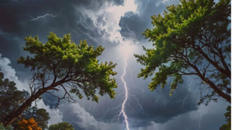 Maharashtra Weather : मुंबई, ठाण्यात उष्ण व दमट हवामान! 'या' जिल्ह्यात होणार वरुण राजाचं आगमन Maharashtra Weather Today (फोटो सौजन्य - AI)