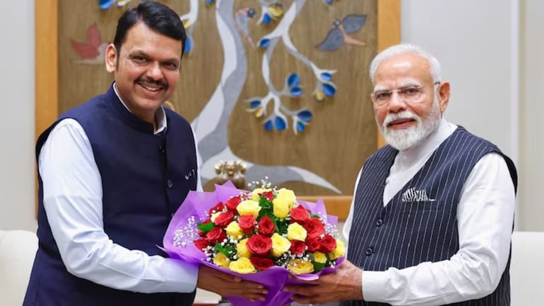 "2029 ला देशाच्या पंतप्रधानपदी...", देवेंद्र फडणवीस नेमकं काय म्हणाले? Mumbai Tak