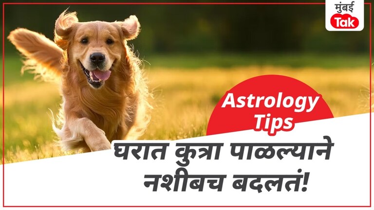 घरी कुत्रा पाळल्याने तुमचे नशीब बदलू शकते! तुमच्यासाठी कोणत्या रंगाचा... घरी कुत्रा पाळल्याने तुमचे नशीब बदलू शकते!