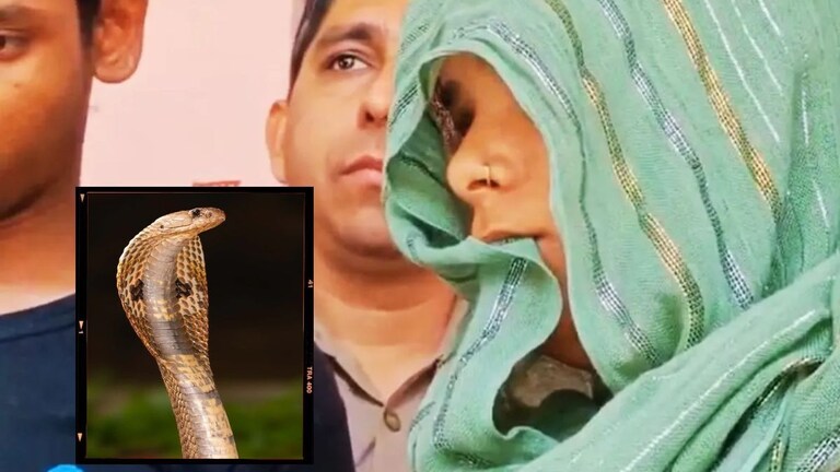 "वैश्या हो आणि धंदा कर...", संतापलेल्या बायकोनं नवऱ्याचा केला खून, प्रियकराने बेडखाली साप ठेवला अन्... Wife Kills Husband Crime News