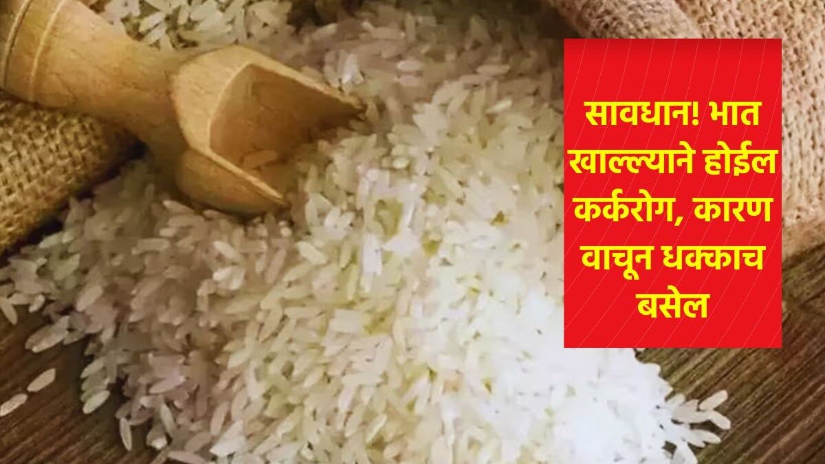  arsenic level increasing in rice 