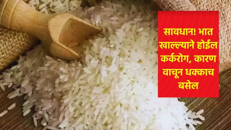 सावधान! भात खाताय? कॅन्सर अन् हार्ट होईल खराब, रिसर्चमध्ये आली धक्कादायक माहिती समोर  arsenic level increasing in rice