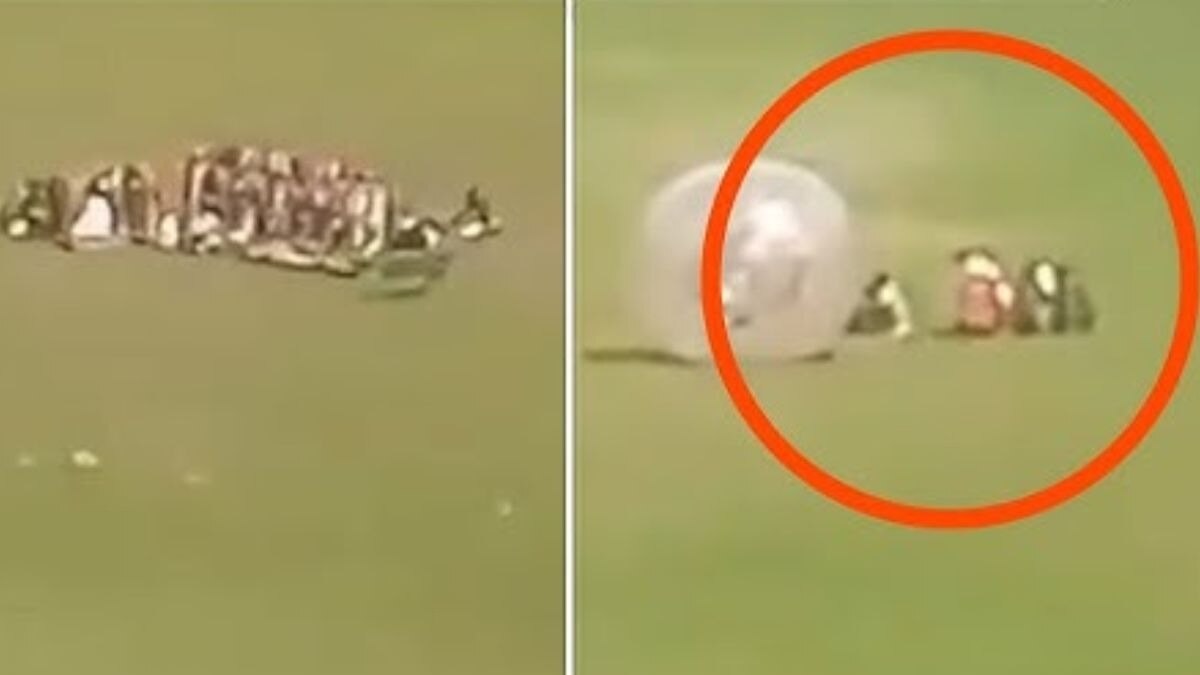 पहलगाम दहशतवादी हल्ल्याचा पहिला व्हिडीओ व्हायरल