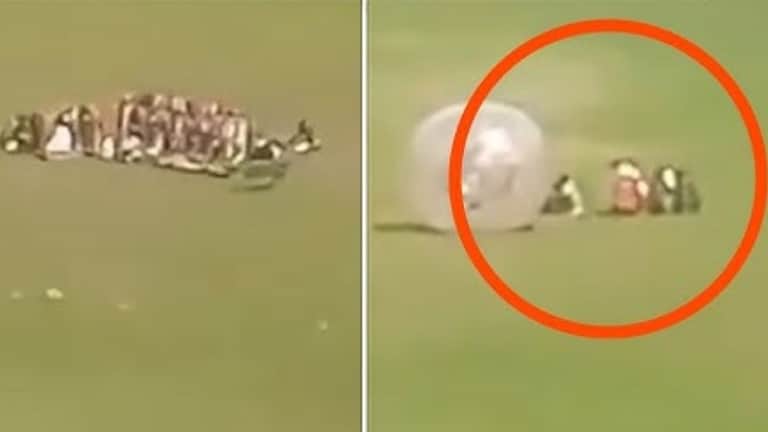 आधी लोकांना एकत्र केलं अन् धडाधड घातल्या गोळ्या... दहशतवादी हल्ल्याचा सगळ्यात पहिला Video पाहून तुमचाही उडेल थरकाप पहलगाम दहशतवादी हल्ल्याचा पहिला व्हिडीओ व्हायरल