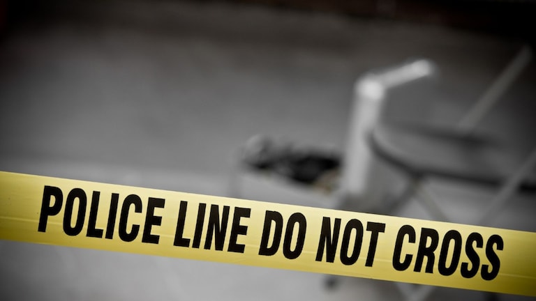 पुण्यातील वरंध घाटात सापडला शीर नसलेला मृतदेह, हात-पायही बांधलेले, गुरं चारणाऱ्यांनी काय पाहिलं? Mumbai Tak