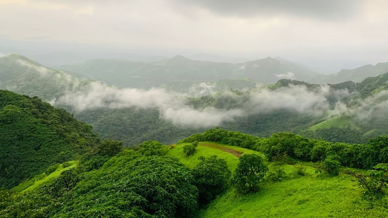महाराष्ट्राच्या दऱ्या-खोऱ्यांमध्ये लपलेली ही ठिकाणं तुम्ही फिरलात का? वाचा यादी...  Mumbai Tak