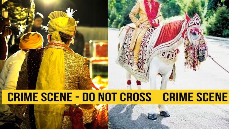 लग्नाच्या वरातीत बंदूक घेऊन जल्लोष, गोळी सुटली अन् थेट नवरदेवाला लागली, प्रकरण काय? Mumbai Tak