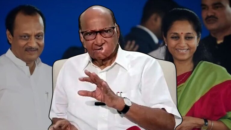 "राष्ट्रवादीच्या दोन्ही गटांनी एकत्र येण्याचा निर्णय आता...", शरद पवार नेमकं काय म्हणाले? Mumbai Tak