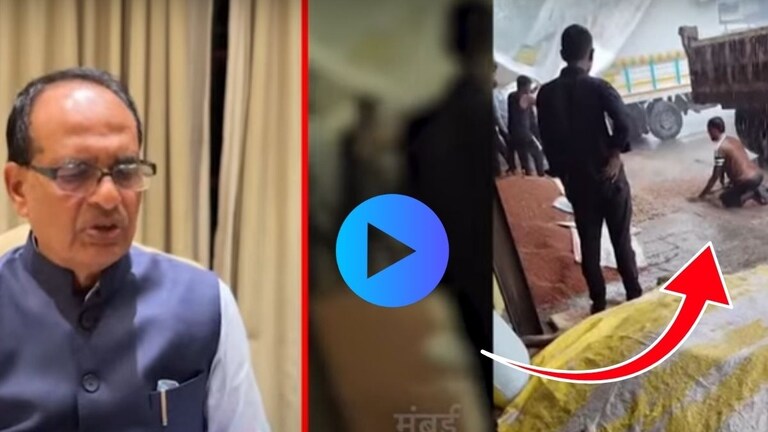 Video : डोळ्यादेखत भुईमूग वाहून गेला! वाशिमच्या शेतकऱ्याची धडपड पाहून केंद्रीय कृषीमंत्र्यांनी थेट फोन केला आणि... Washim Farmer Groundnut Viral Video