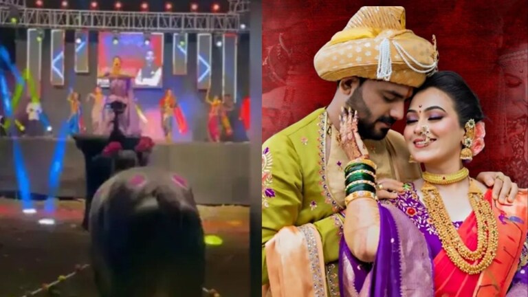 Vaishnavi Hagawane Case: सुनांना मरणयातना देणाऱ्या हगवणेंचा भलताच उद्योग, बैलासमोर नाचवलेलं गौतमी पाटीलला! Vaishanavi Hagawane Case