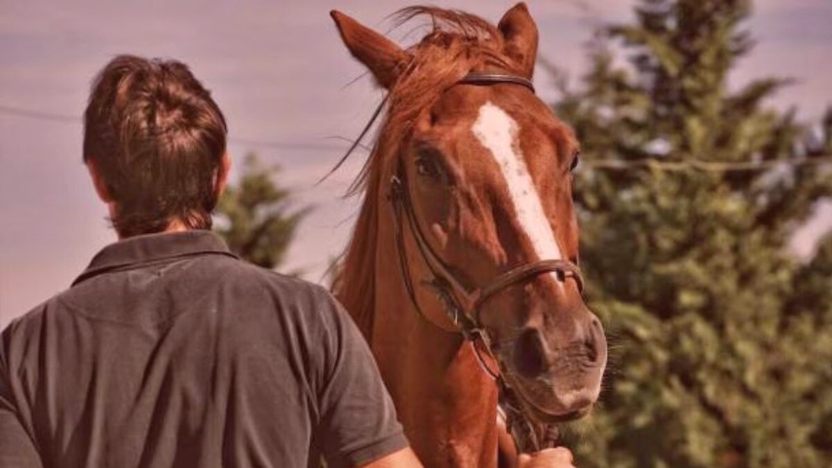 Crime News Youth raped on horse in Nagpur