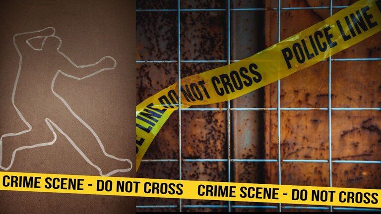 काकीनं पुतण्याला संपवलं, मृतदेहाचे तुकडे सिमेंटच्या... पुन्हा 'मेरठ'सारखीच घटना, अश्लील फोटोवरुन... Mumbai Tak