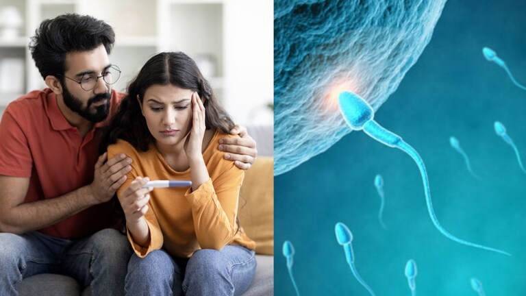 पुरुषांचा स्पर्म काऊंट कमी झालाय? टेन्शन नॉट तरीही व्हाल बाबा, शास्त्रज्ञांनी केलं संशोधन Health News Men's sperm count dropped and men faced infertility