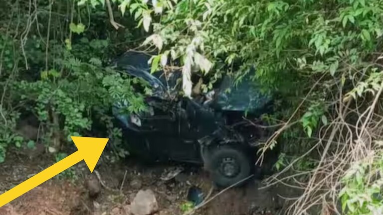 झुडुपांमध्ये कार, आतमध्ये तीन सडलेले मृतदेह, स्थानिक महिलेनं पाहिलं अन् हादरली... शहापूरमधील घटना काय? Mumbai Tak