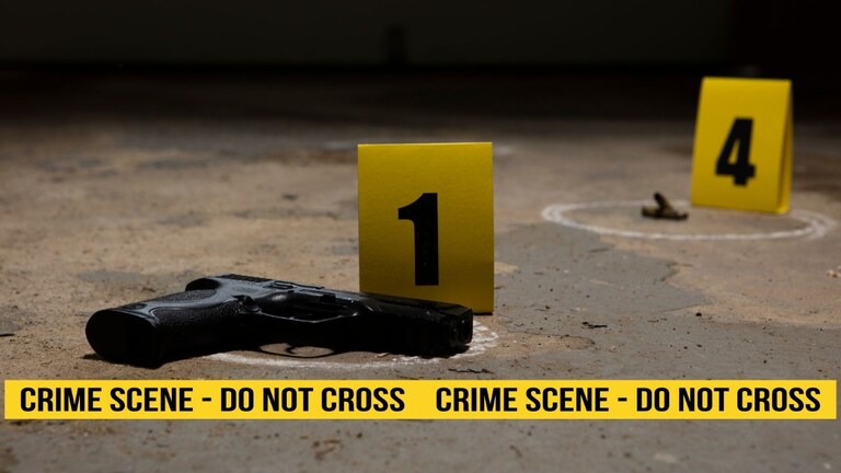 आधी पत्नीला गोळी घातली, नंतर स्वत:ला गोळी झाडून संपवलं; मुलगा, सुनेला वेगळं राहण्यावरुन... Mumbai Tak