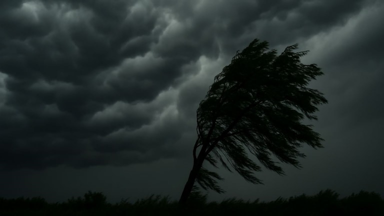 Maharashtra Weather: रत्नागिरी, प. महाराष्ट्रात मुसळधार पावसाचा इशारा, हाय अलर्ट जारी Mumbai Tak