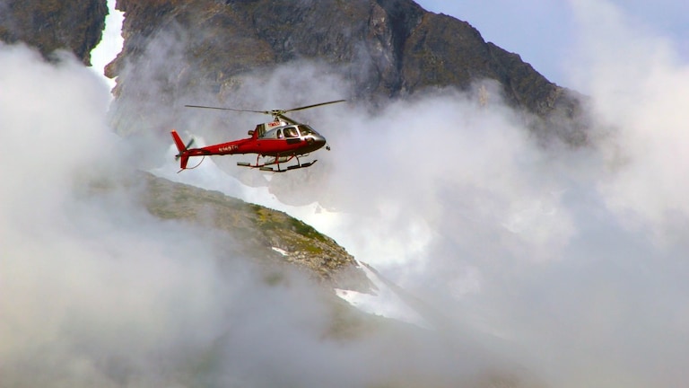 केदारनाथमध्ये हेलिकॉप्टर क्रॅश, 7 जणांचा मृत्यू, मृतांपैकी 3 जण महाराष्ट्रातील यवतमाळचे File Photo