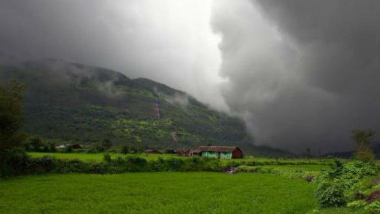 कोकणासह सातारा, सांगली अन् कोल्हापुरात नुसता धो धो बरसणार, वाचा आजचं हवामान Maharashtra weather Update