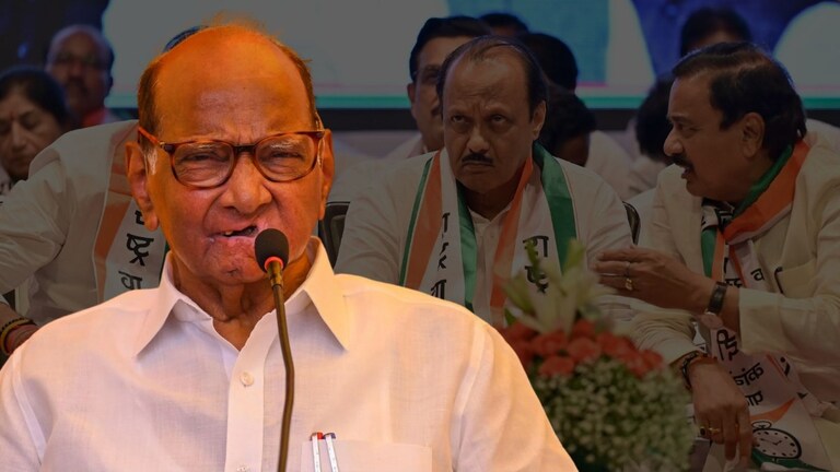 'सत्तेसाठी भाजपसोबत जाऊन बसायचं.. संधीसाधूपणाचं राजकारण', पवार स्पष्टच बोलले; अजितदादांसोबत जमणार नाहीच? Mumbai Tak