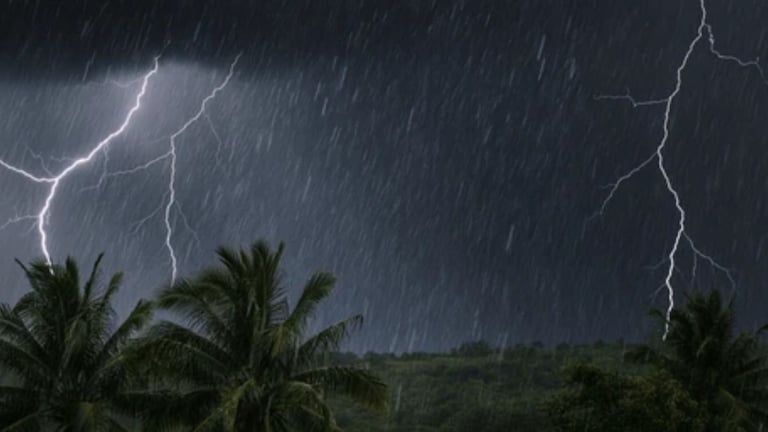 कोकणात पाऊस घालणार धिंगाणा; तर मध्य महाराष्ट्रात पावसाचा येलो अलर्ट जारी, आजचं हवामान वाचाच Maharashtra Weather Update