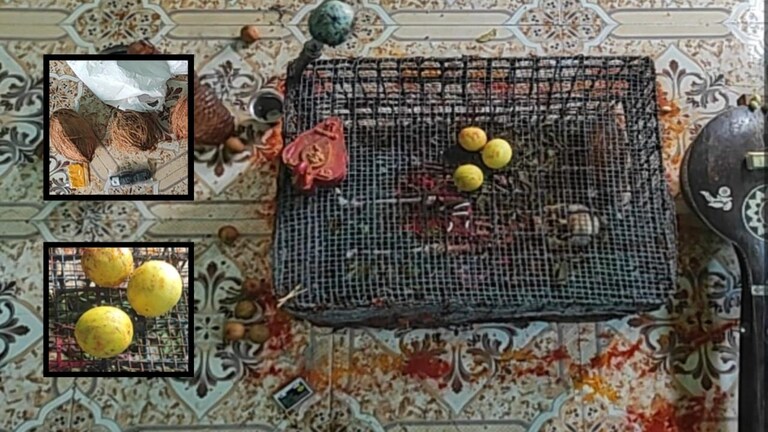 लाखाचे कोटी करुन देतो म्हणत फसवणूक, पोलिसांनी आरोपीच्या घरावर छापा टाकल्यावर सापडली, कवटी, दोरे... Mumbai Tak