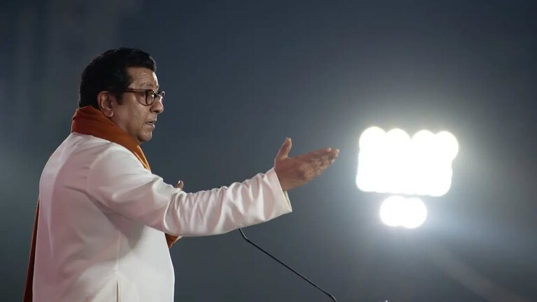 हिंदी भाषा सक्ती: राज ठाकरेंची मोठी घोषणा, आषाढीच्या मुहूर्तावर मुंबईतून फुंकणार रणशिंग! राज ठाकरेंची मोठी घोषणा (फाइल फोटो, सौजन्य: Instagram)