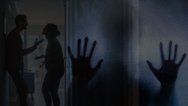 'पती मित्राला घेऊन आला घरी, दोघांचे अश्लील चाळे...', 'त्या' गोष्टीने महिला हादरली! crime news